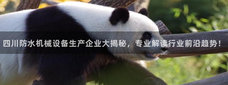 四川防水机械设备生产企业大揭秘，专业解读行业前沿趋势！