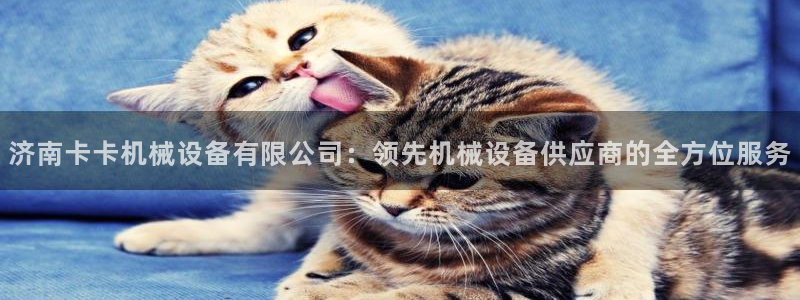 杏盛东24 35 53：济南卡卡机械设备有限公司：领先机械设备供应商的全方位服务