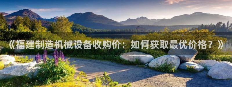 杏盛官网：《福建制造机械设备收购价：如何获取最优价格？》