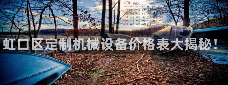 杏盛代理：虹口区定制机械设备价格表大揭秘！