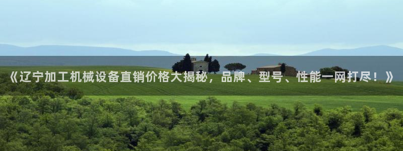 杏盛注册登录：《辽宁加工机械设备直销价格大揭秘，品牌、型号、性能一网打尽！》
