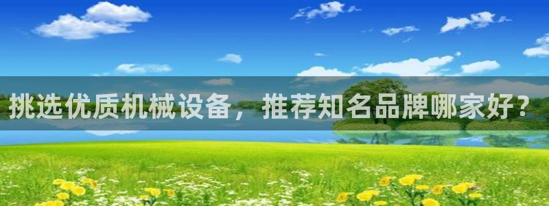 杏盛东24 35 53：挑选优质机械设备，推荐知名品牌哪家好？