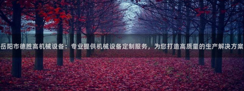 杏盛官网：岳阳市德胜高机械设备：专业提供机械设备定制服务，为您打造高质量的生产解
