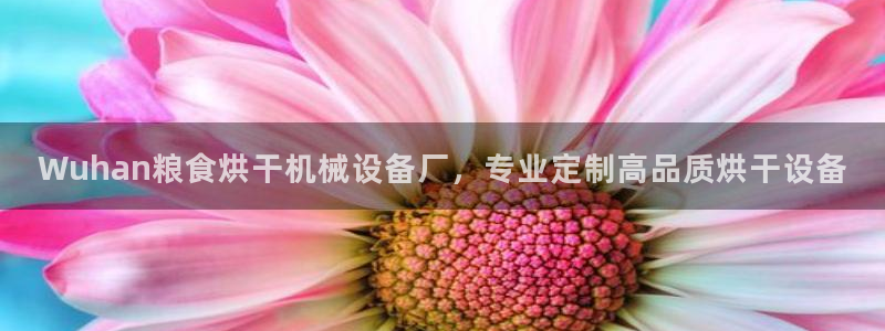 杏盛平台官网注册：Wuhan粮食烘干机械设备厂，专业定制高品质烘干设备