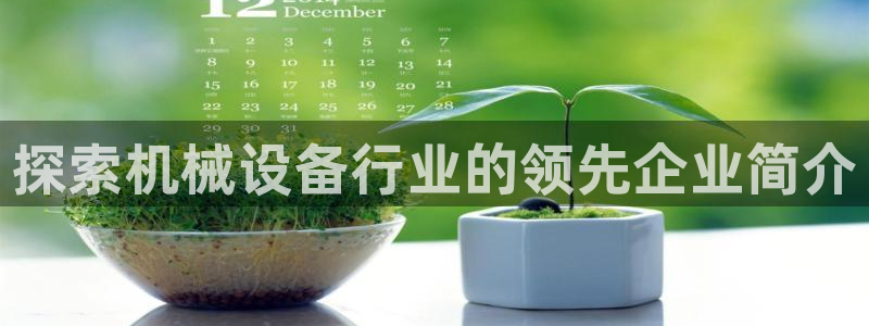 杏盛官方平台：探索机械设备行业的领先企业简介