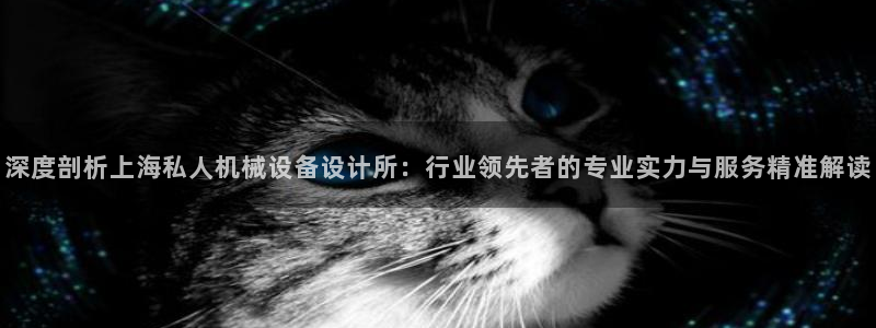 杏盛平台开户 贴吧：深度剖析上海私人机械设备设计所：行业领先者的专业实力与服务精