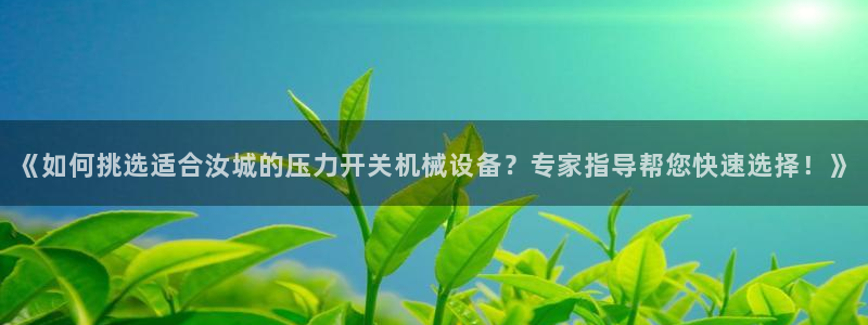 杏盛代理：《如何挑选适合汝城的压力开关机械设备？专家指导帮您快速选择！》