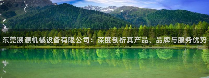 杏盛主管：东莞溯源机械设备有限公司：深度剖析其产品、品牌与服务优势