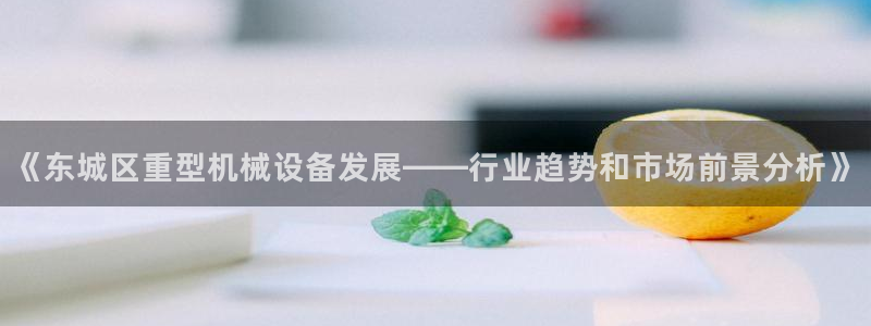 杏盛东24 35 53：《东城区重型机械设备发展——行业趋势和市场前景分析》