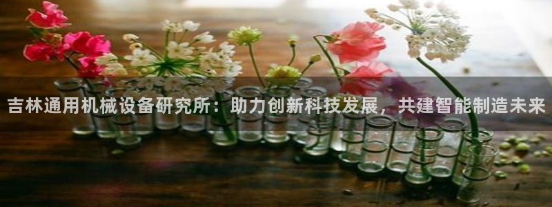 杏盛平台官网注册：吉林通用机械设备研究所：助力创新科技发展，共建智能制造未来