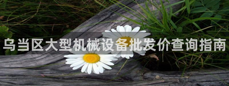 杏盛平台官网注册登录：乌当区大型机械设备批发价查询指南