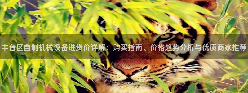 杏盛平台代理：丰台区自制机械设备进货价详解：购买指南、价格趋势分析与优质商家推荐