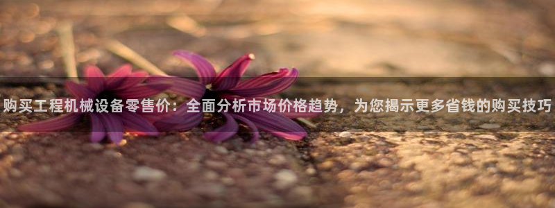 杏盛平台代理：购买工程机械设备零售价：全面分析市场价格趋势，为您揭示更多省钱的购