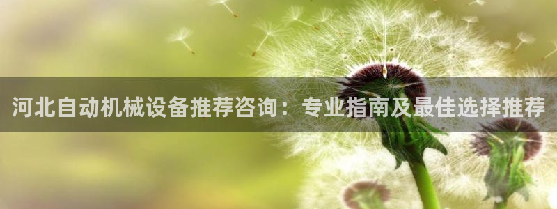 杏盛平台登录：河北自动机械设备推荐咨询：专业指南及最佳选择推荐