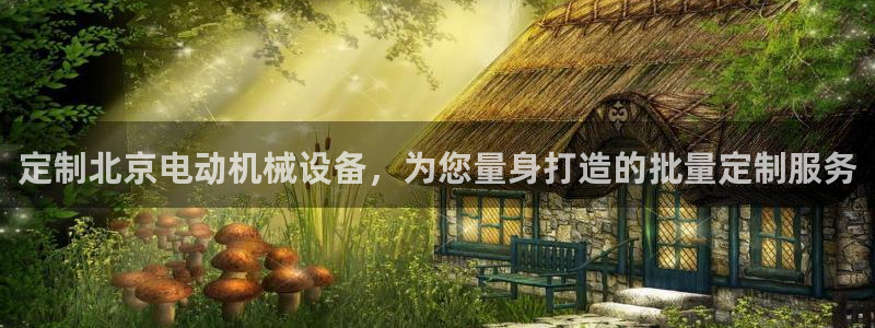 杏盛官网登录：定制北京电动机械设备，为您量身打造的批量定制服务