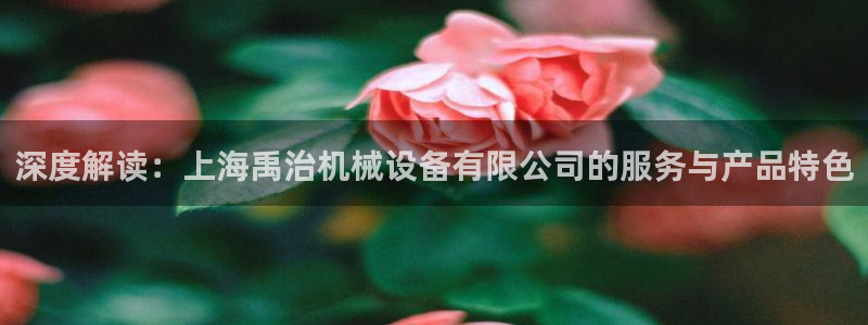 杏盛平台官网：深度解读：上海禹治机械设备有限公司的服务与产品特色