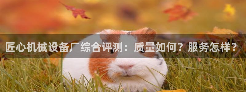杏盛娱乐代理：匠心机械设备厂综合评测：质量如何？服务怎样？