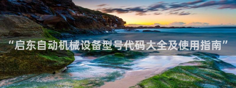 杏盛平台官网注册：“启东自动机械设备型号代码大全及使用指南”