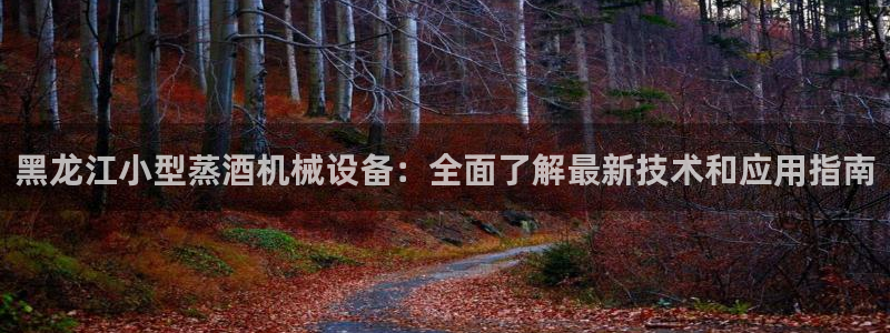 杏盛代理：黑龙江小型蒸酒机械设备：全面了解最新技术和应用指南