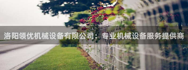 杏盛平台代理：洛阳领优机械设备有限公司：专业机械设备服务提供商