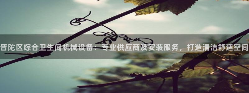 杏盛平台登录地址：普陀区综合卫生间机械设备：专业供应商及安装服务，打造清洁舒适空