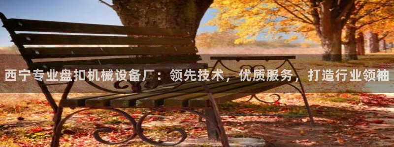 杏盛娱乐代理：西宁专业盘扣机械设备厂：领先技术，优质服务，打造行业领袖