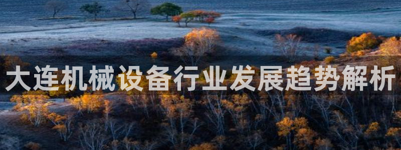 杏盛代理：大连机械设备行业发展趋势解析