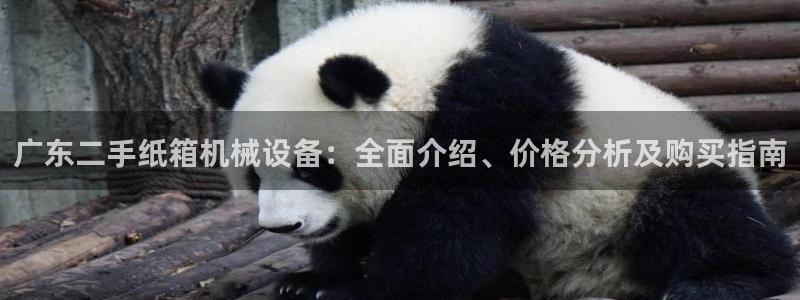 杏盛娱乐代理：广东二手纸箱机械设备：全面介绍、价格分析及购买指南