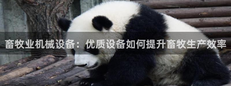 杏盛平台登陆地址：畜牧业机械设备：优质设备如何提升畜牧生产效率