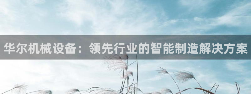 杏盛平台登陆：华尔机械设备：领先行业的智能制造解决方案