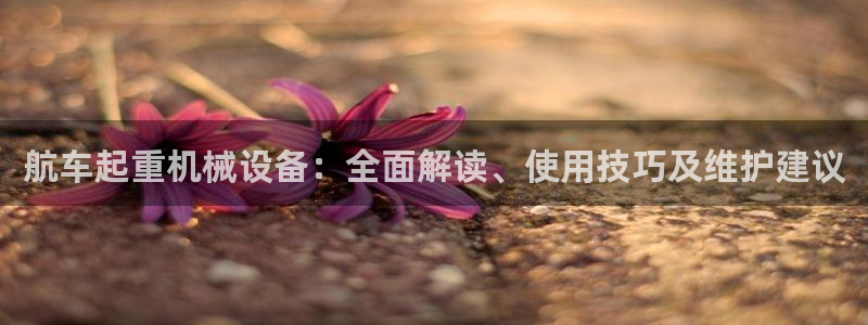 杏盛代理：航车起重机械设备：全面解读、使用技巧及维护建议