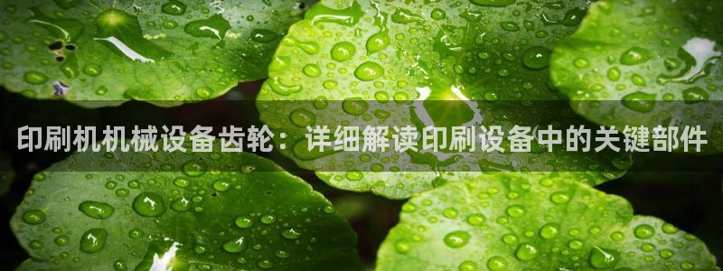杏盛平台登录：印刷机机械设备齿轮：详细解读印刷设备中的关键部件