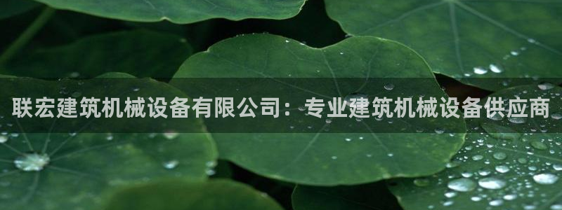 杏盛平台官网：联宏建筑机械设备有限公司：专业建筑机械设备供应商