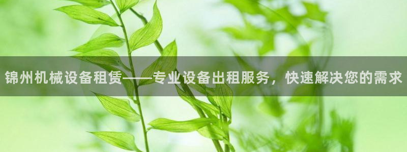 杏盛平台开户 贴吧：锦州机械设备租赁——专业设备出租服务，快速解决您的需求