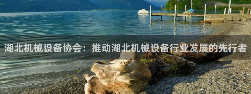 杏盛官网：湖北机械设备协会：推动湖北机械设备行业发展的先行者