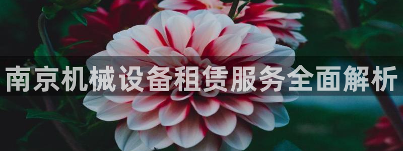 杏盛app下载：南京机械设备租赁服务全面解析