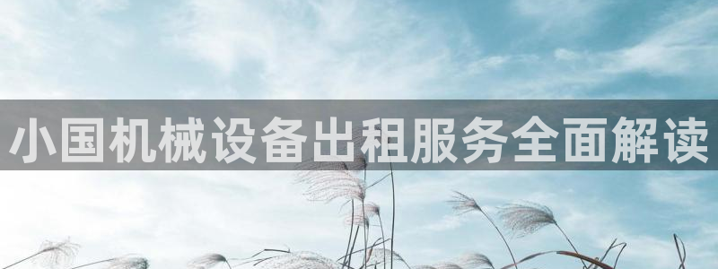 杏盛注册登录：小国机械设备出租服务全面解读