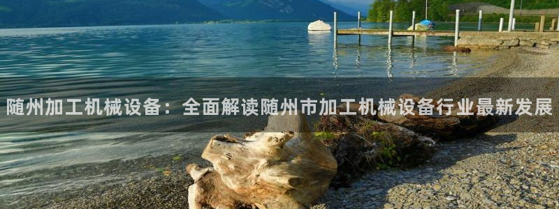 杏盛平台开户 贴吧：随州加工机械设备：全面解读随州市加工机械设备行业最新发展