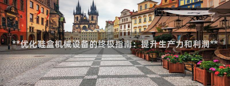 杏盛app下载：**优化鞋盒机械设备的终极指南：提升生产力和利润**