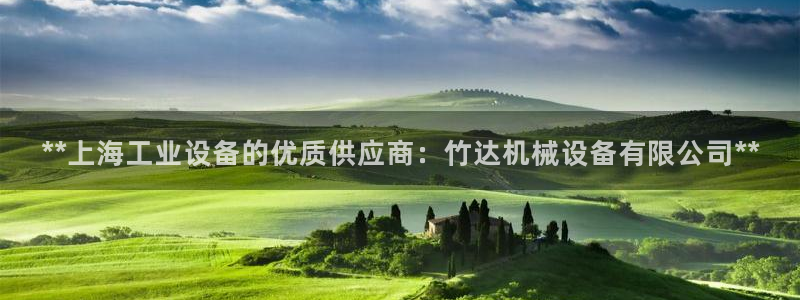 杏盛平台注册登录：**上海工业设备的优质供应商：竹达机械设备有限公司**
