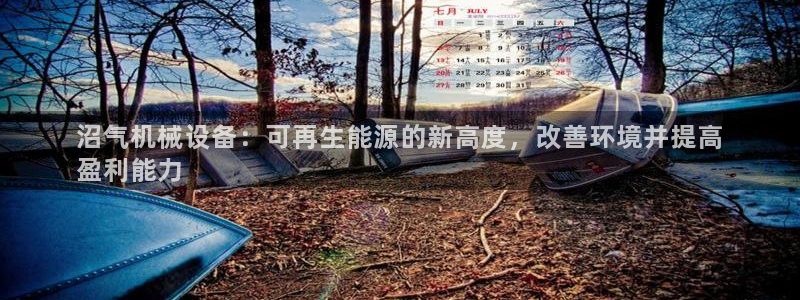 杏盛乐岳35994誓：沼气机械设备：可再生能源的新高度，改善环境并提高
盈利能力