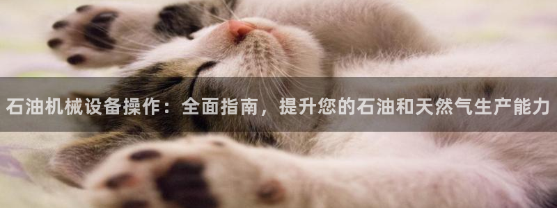 杏盛平台登陆地址：石油机械设备操作：全面指南，提升您的石油和天然气生产能力