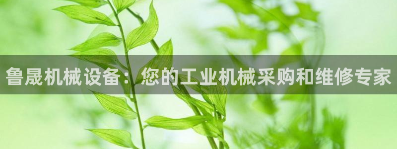 杏盛代理：鲁晟机械设备：您的工业机械采购和维修专家