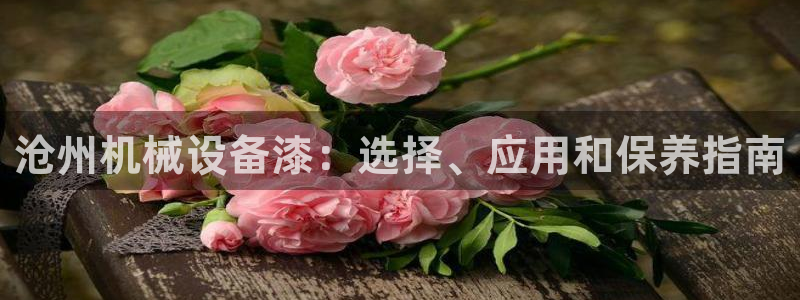 杏盛注册登录：沧州机械设备漆：选择、应用和保养指南