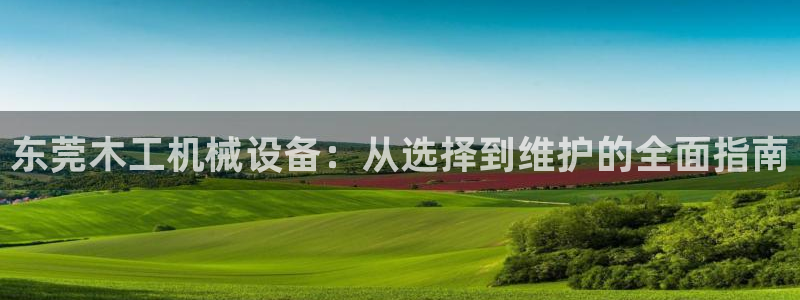 杏盛平台官网注册：东莞木工机械设备：从选择到维护的全面指南