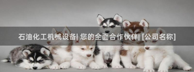 杏盛平台：石油化工机械设备| 您的全面合作伙伴| [公司名称]