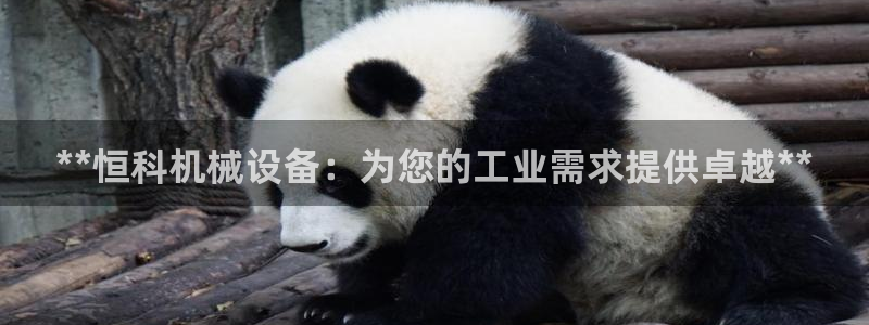 杏盛平台登陆：**恒科机械设备：为您的工业需求提供卓越**