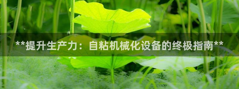 杏盛平台注册登录：**提升生产力：自粘机械化设备的终极指南**