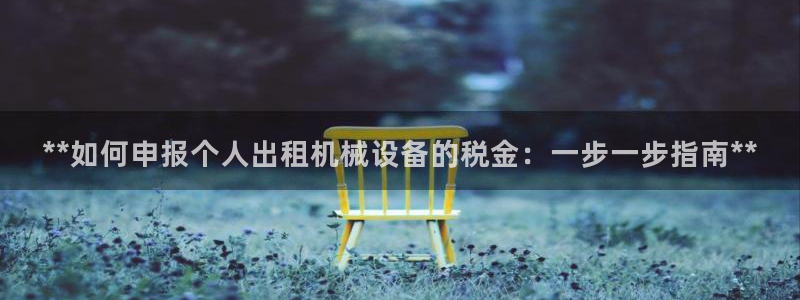 杏盛平台官网注册登录：**如何申报个人出租机械设备的税金：一步一步指南**