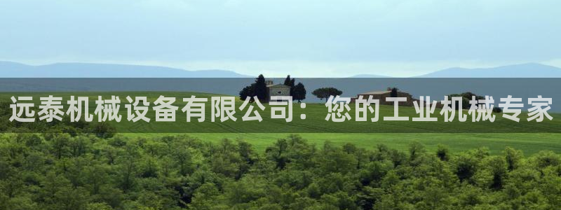 杏盛主管：远泰机械设备有限公司：您的工业机械专家